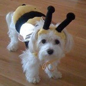 Melanie Koss's photo