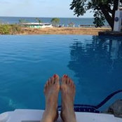 Debra Shrout's photo