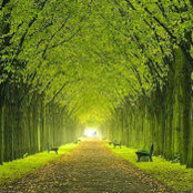 Tatjana Bajrami's photo