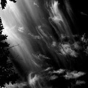 Luca Lepone's photo