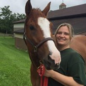 Ann Schiavone's photo