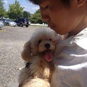 伊藤大地s billede