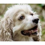 Gerald Giroux's photo