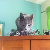 Foto von Josie Tomas