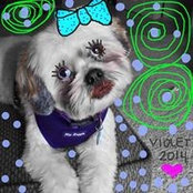 Simone Sevilla's photo