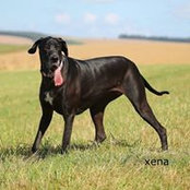 Mandy Hamilton's photo