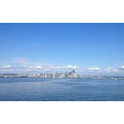Alice Sun's photo