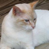 JoAnn Rogers's photo