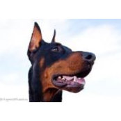 Sandy Clair's photo