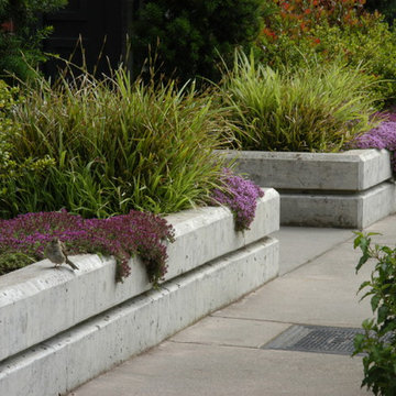 Walkway and raised planters