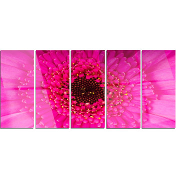 "Macro Photo of Gerbera Flower" Metal Art, 5 Equal Panels, 60"x28"