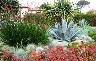 Gardening Solutions for Dry, Sandy Soils