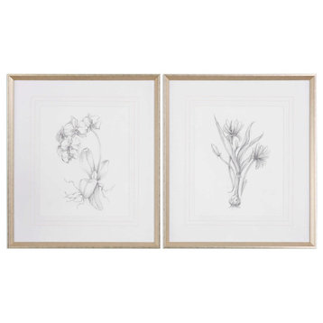 Uttermost Botanical Sketches Framed Prints | Botanical Framed Wall Art, Set of 2
