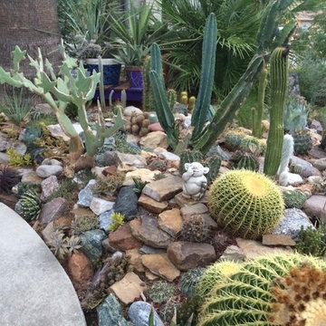 cactus & Succulent Gardens