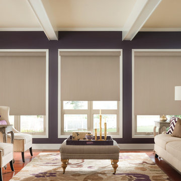 DESIGNER ROLLER SHADES