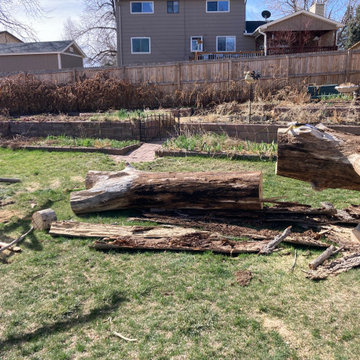 Emergency Tree Removal