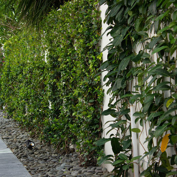 Hedge hug