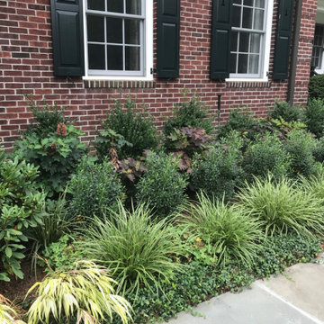 Foundation planting
