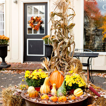 Autumn Decor & New England Road Trip