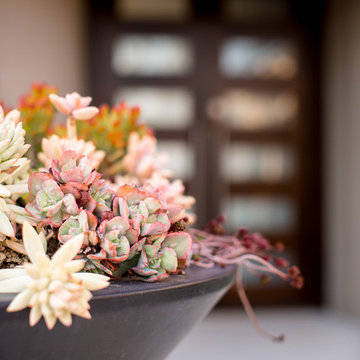 Modern Planter Bowl with Succulents