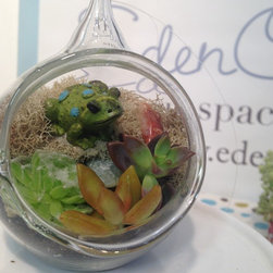 Miniature Terrariums - Terrariums