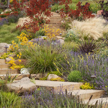 Front yard Downward Sloping