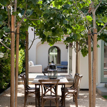 Mediterranean Villa