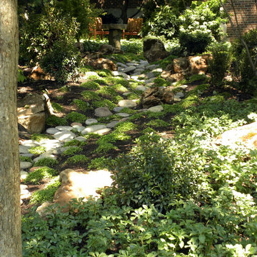 Shade Garden