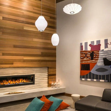 Modern Cabin