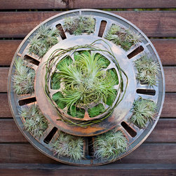 Holiday Wreaths - Outdoor Decor