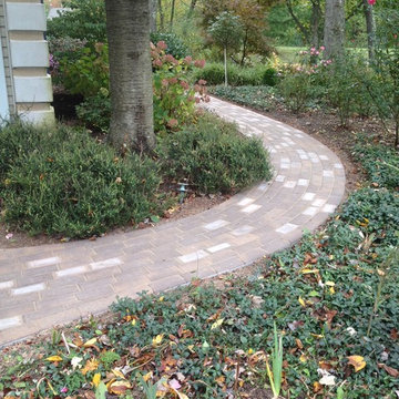 Our Work