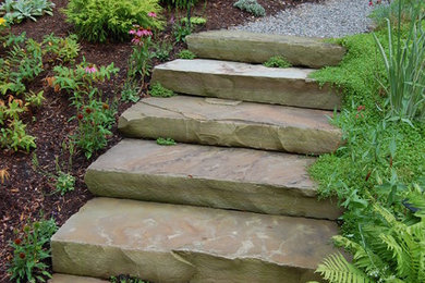 Photo of a traditional landscaping in Raleigh.