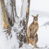 Charles Davis's photo