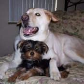 Bev Botts's photo