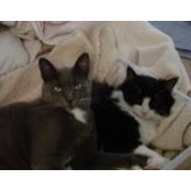 Kat Ward's photo