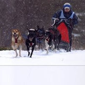 Erika Dreffs's photo