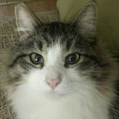 Mariell Buhain's photo