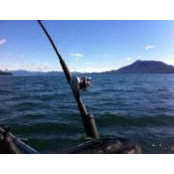 Jim Quinto's photo