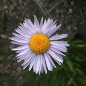 Ellie Detwiler's photo