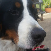 Foto de Debbie Maxson
