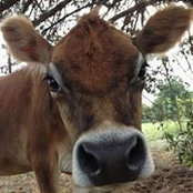 Jason Tipps's photo