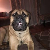Jamie Williamson's photo