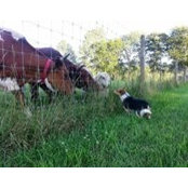 Kiri Keller's photo
