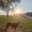 Viable Energy Solutions LLC