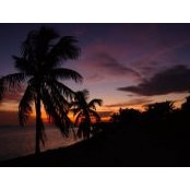 Brenda Linnick's photo