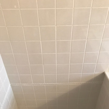 Grout Replacement