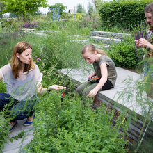 Gardens
