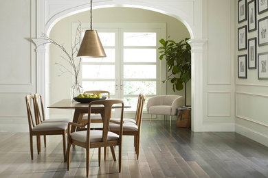 Design ideas for a contemporary dining room in New Orleans.
