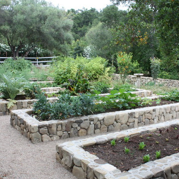 Vegetable Gardens
