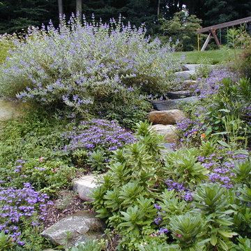 Plantings